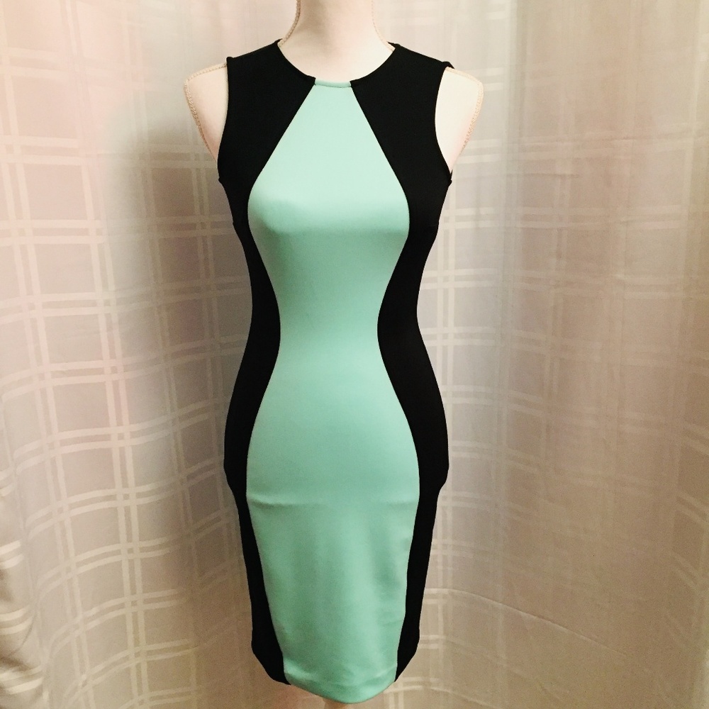 Boston Proper Teal and Black Silhouette Dress